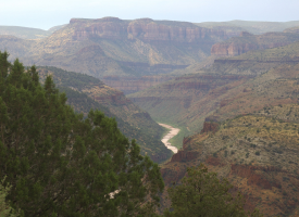 Gila county